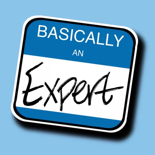 Basically an Expert