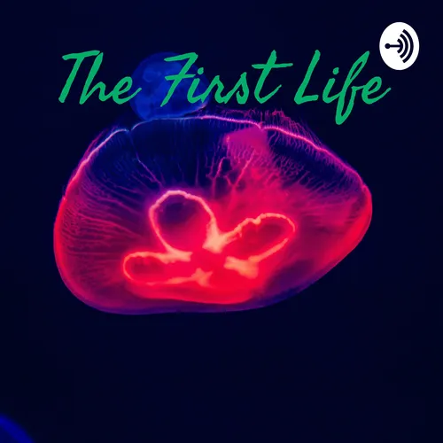 The First Life