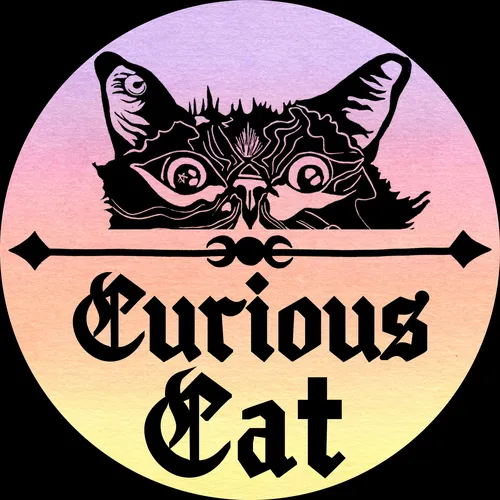 Curious Cat