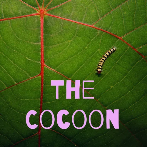 The Cocoon