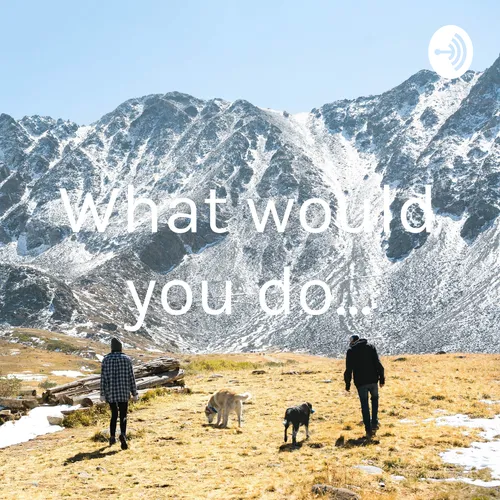 What would you do...