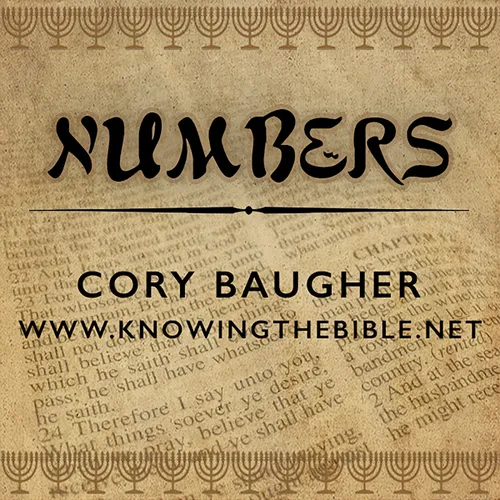 Numbers
