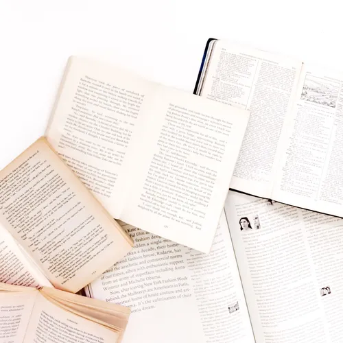 FSI Languages