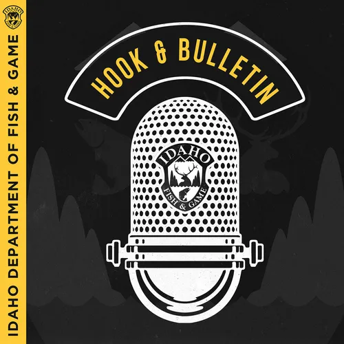 Hook & Bulletin