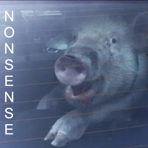 Nonsense