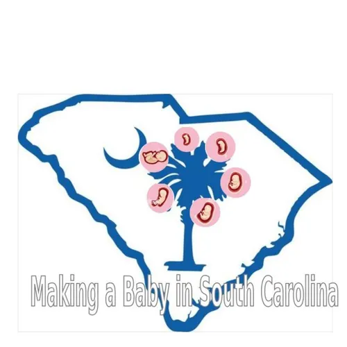 Making a baby in South Carolina