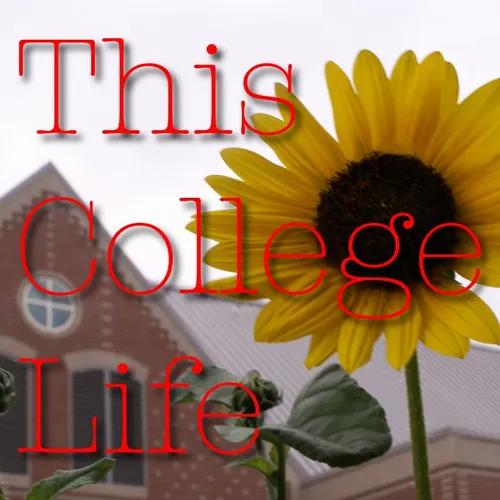 This College Life