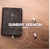 The stfrancissermons’s Podcast