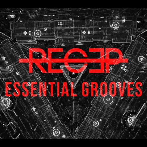 Recep presents: Essential Grooves