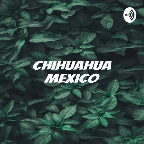 Chihuahua Mexico