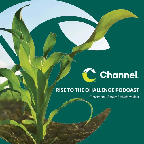 Channel Nebraska 