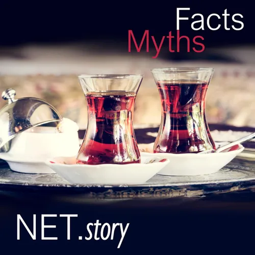 NET.story