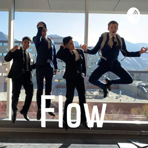 Flow