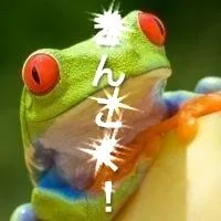 きんこく！