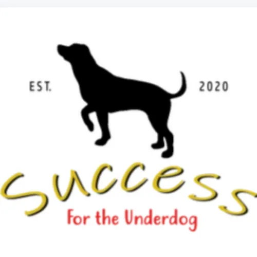 Success for the Underdog