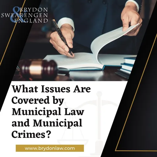 Understanding Municipal Law and Municipa
