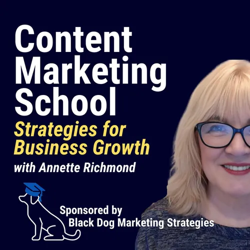 Content Marketing School: Social Media, Video, AI, Podcast, and LinkedIn Tips for B2B Professionals, Consultants, and Entrepreneurs