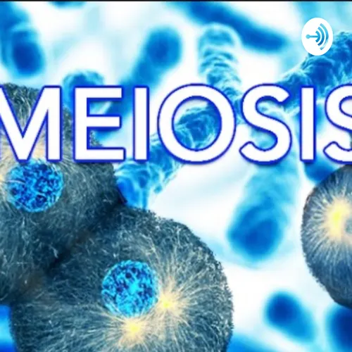 Meiosis Podcast