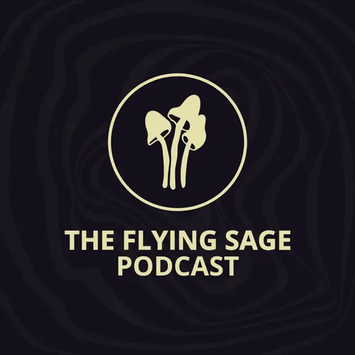 The Flying Sage Podcast