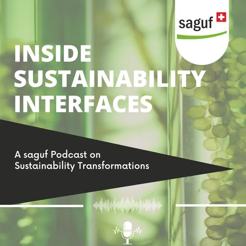 Inside Sustainability Interfaces