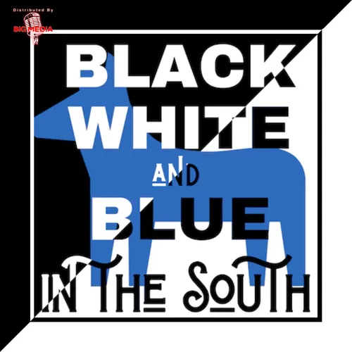 Black White and Blue in the South