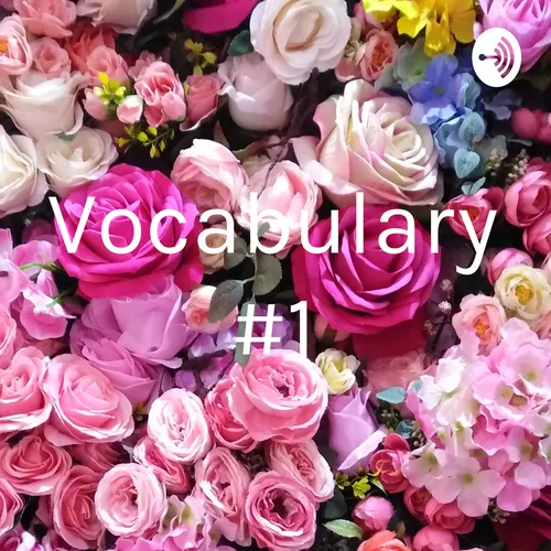 Vocabulary #1