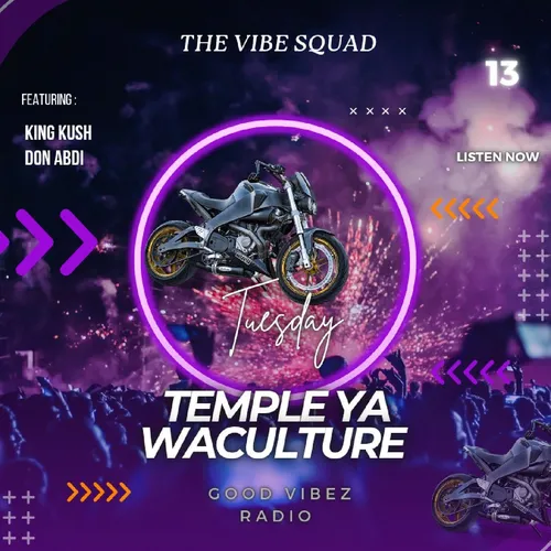 The Vibe Squad