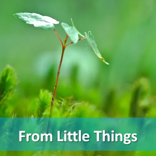 From Little Things