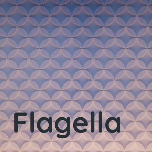 Flagella