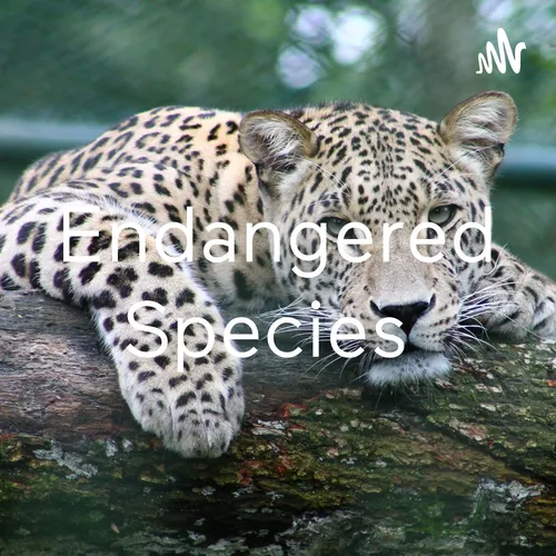 Endangered Species