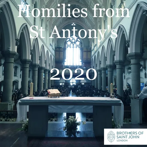 Homilies for 2020 - ST ANTONY'S CATHOLIC CHURCH Forest Gate