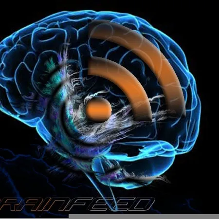 Brain Feed