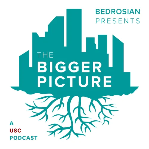 The Bigger Picture