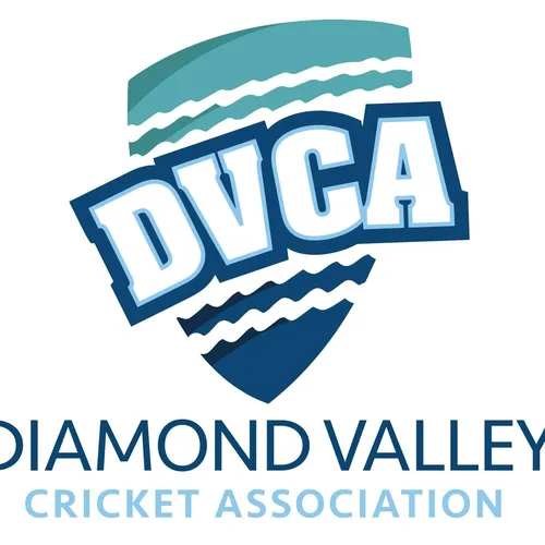 The DVCA Show