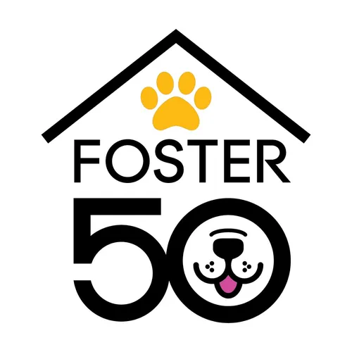 Foster 50 Challenge: The Audio Playbook