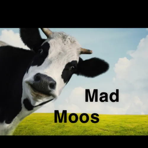 Mad Moos