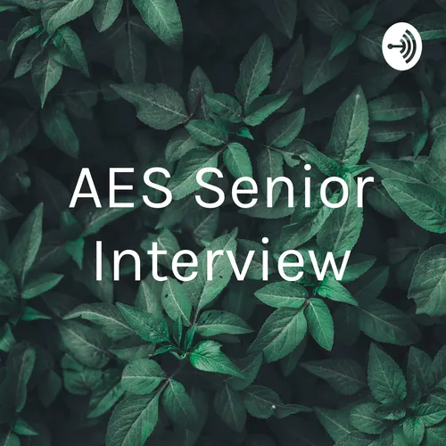 AES Senior Interview