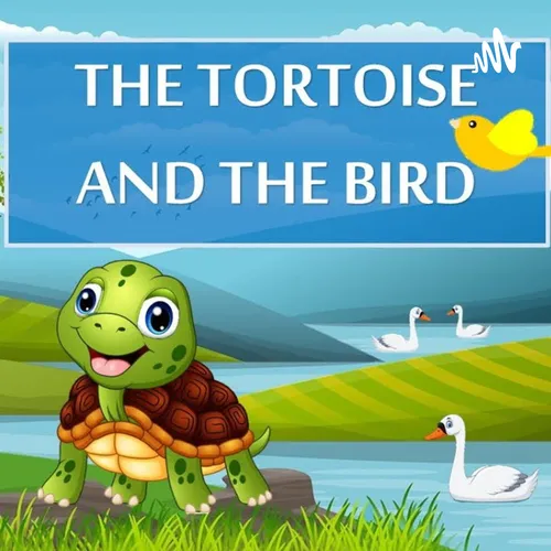 The Tortoise And The Bird