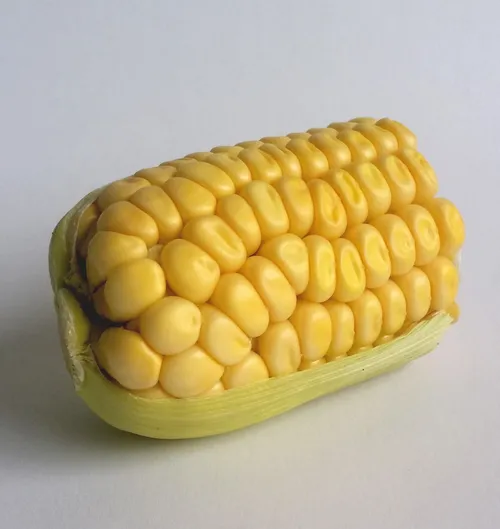Corn on the Cobcast