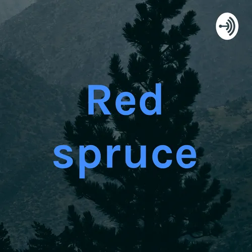 Red spruce