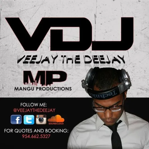 VeeJay The DeeJay