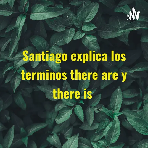 Santiago explica los terminos there are y there is