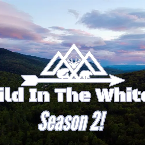 Wild In The Whites