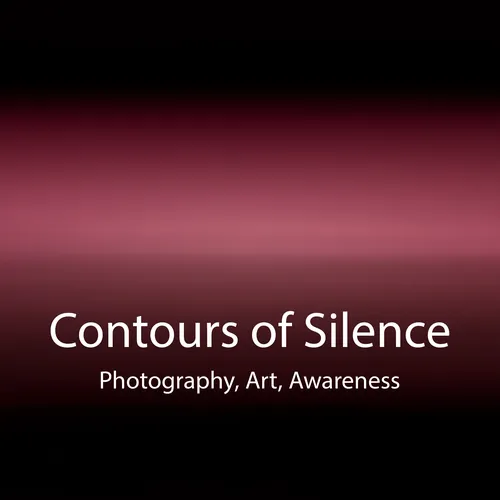 Contours of Silence