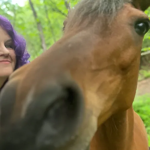 WilloWisdoM — Animal Companion Communication