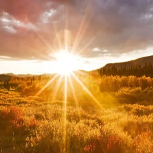 A drop of Sunshine