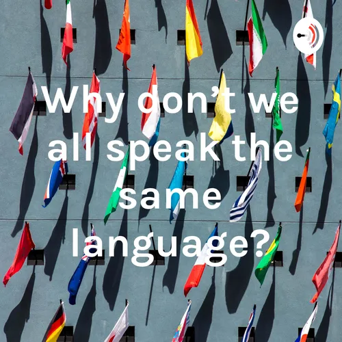 Why don't we all speak the same language?