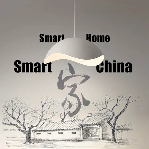 Smart Home, Smart China