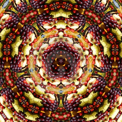 The Musical Kaleidoscope