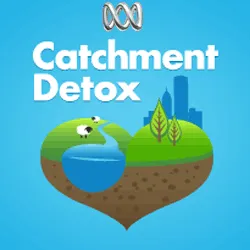 Catchment Detox